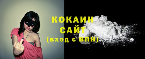 ECSTASY Алзамай