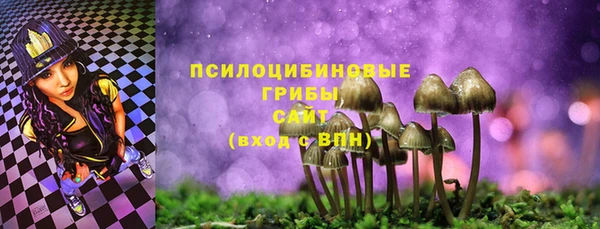 ECSTASY Алзамай
