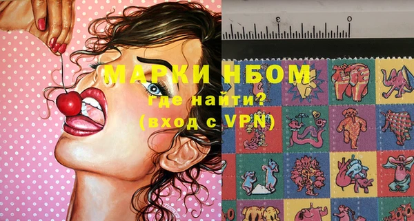 ECSTASY Алзамай