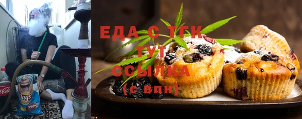 ECSTASY Алзамай